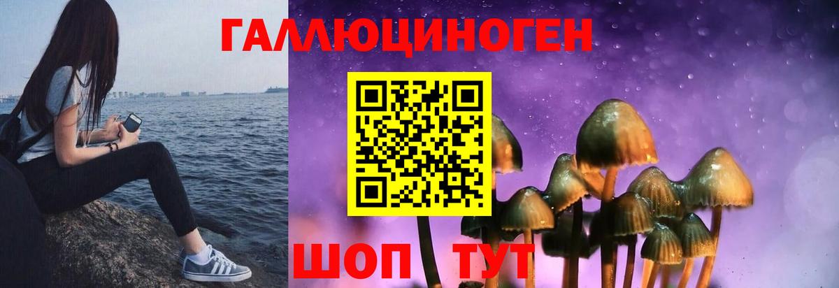 Кострома  Псилоцибиновые грибы MAGIC MUSHROOMS  цены наркотик  Вход с VPN 